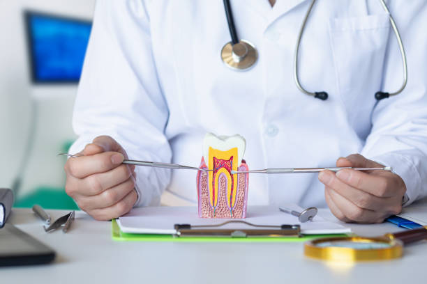 Best Emergency Tooth Extraction  in Seaman, OH